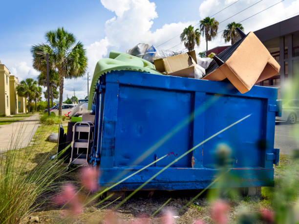 Yard Cleanup Services in Haymarket, VA